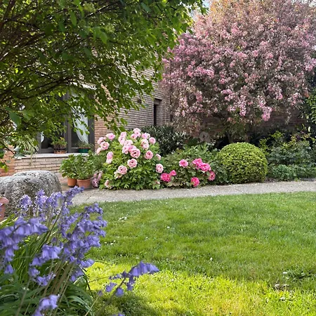 Maison Jardin