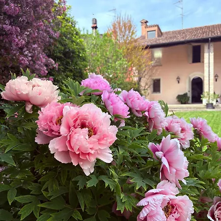 Bed & Breakfast Maison Jardin Gambara