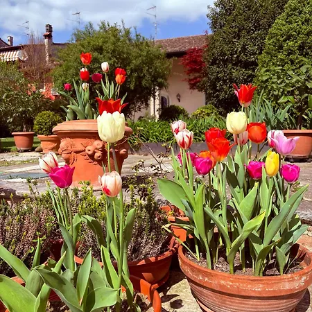 Maison Jardin * Gambara